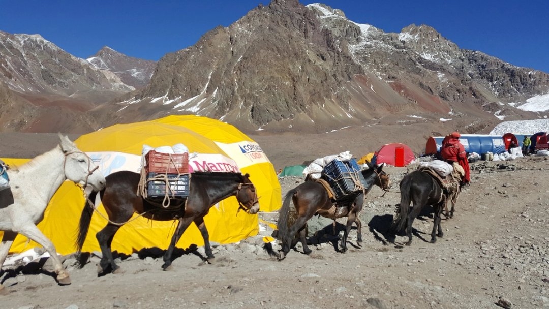 Aconcagua: 2 steps, 15 breaths near the top