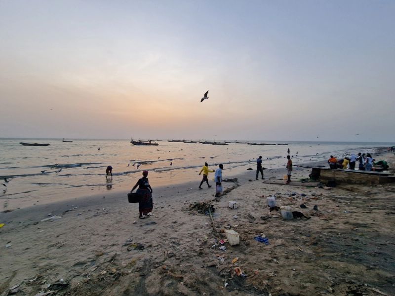 Tanji: sunset at the fish market