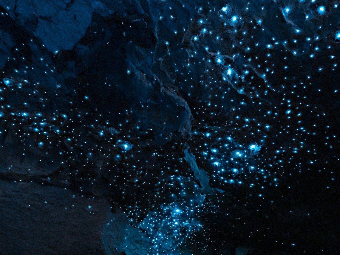 The glowworm caves at Te Anau
