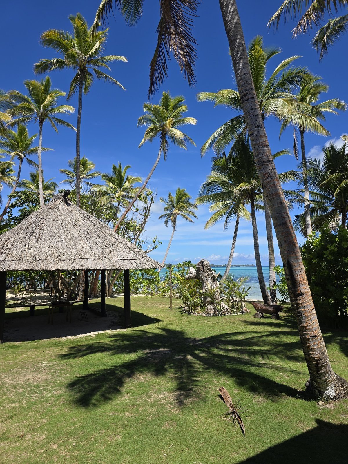 A thatched pavilion under coconut palms on a resort lawn