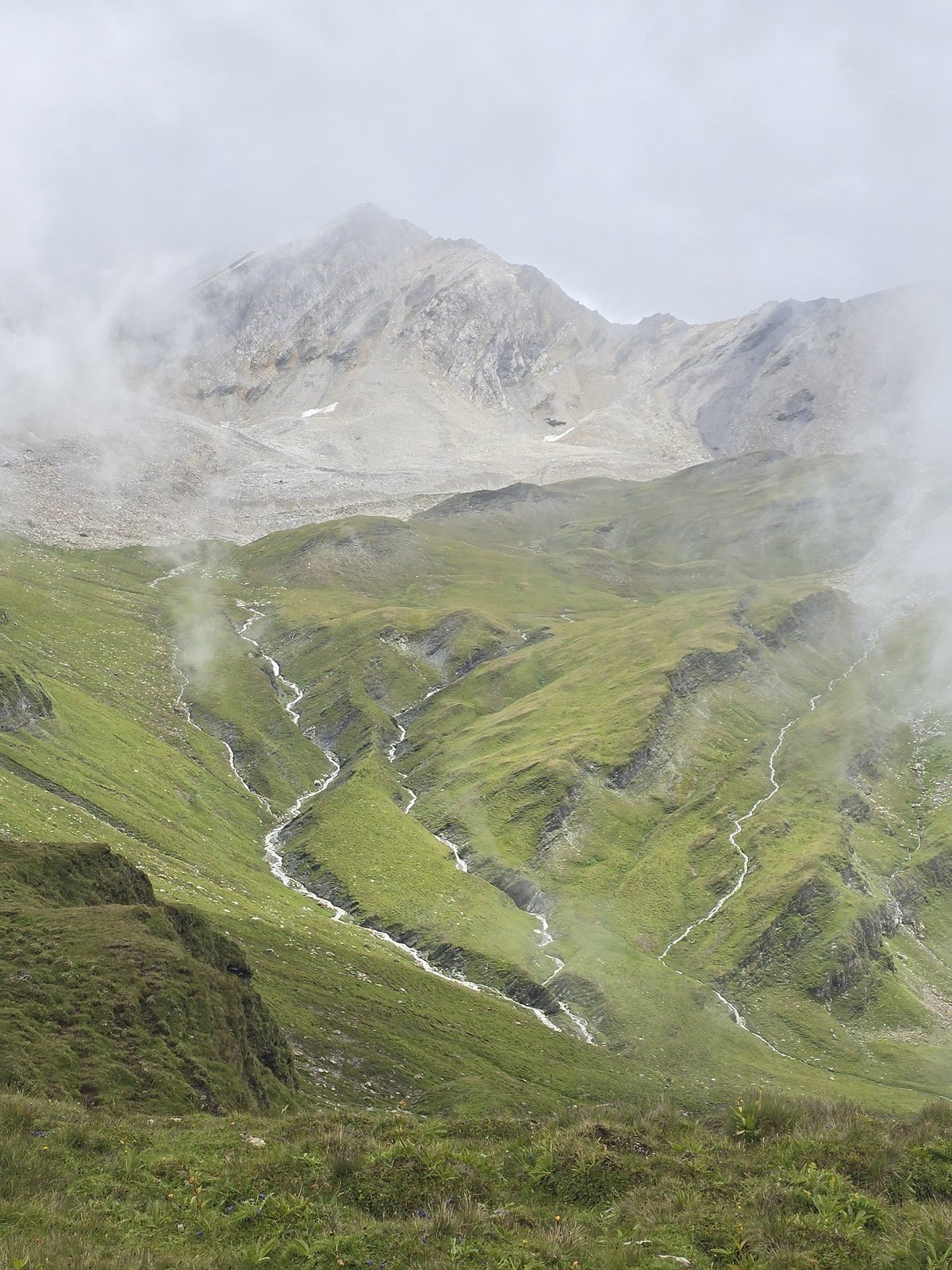 Braided streams below Pass da Schmorras in the mist