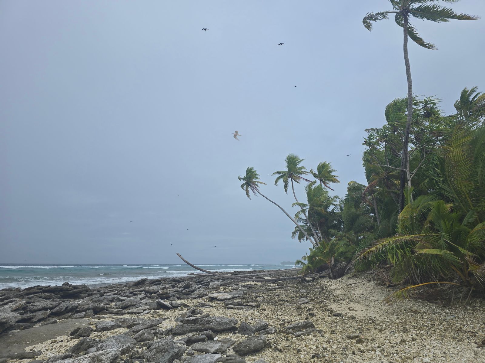 Tuvalu — The Second Least Visited Country in the World