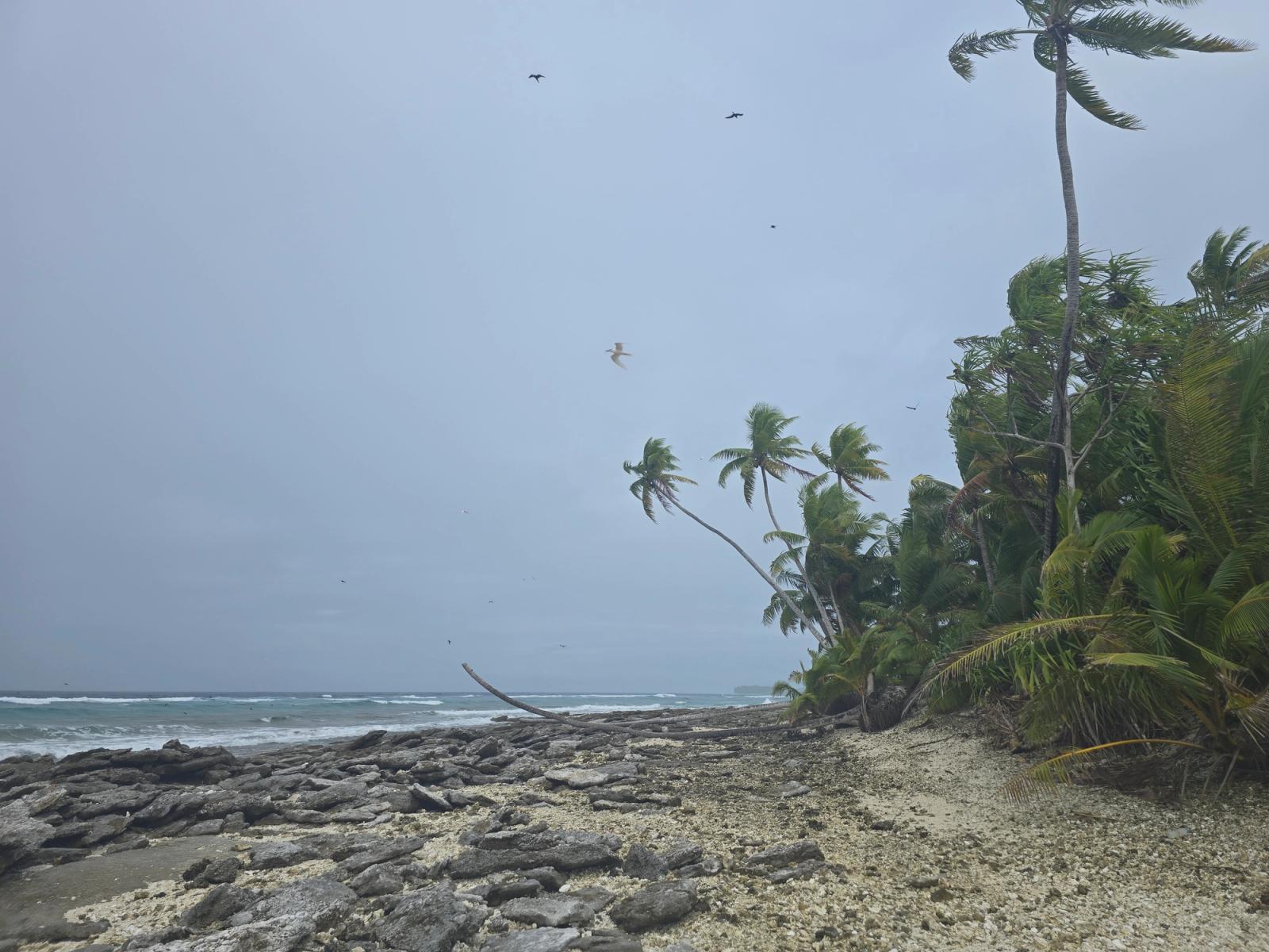 Tuvalu — The Second Least Visited Country in the World