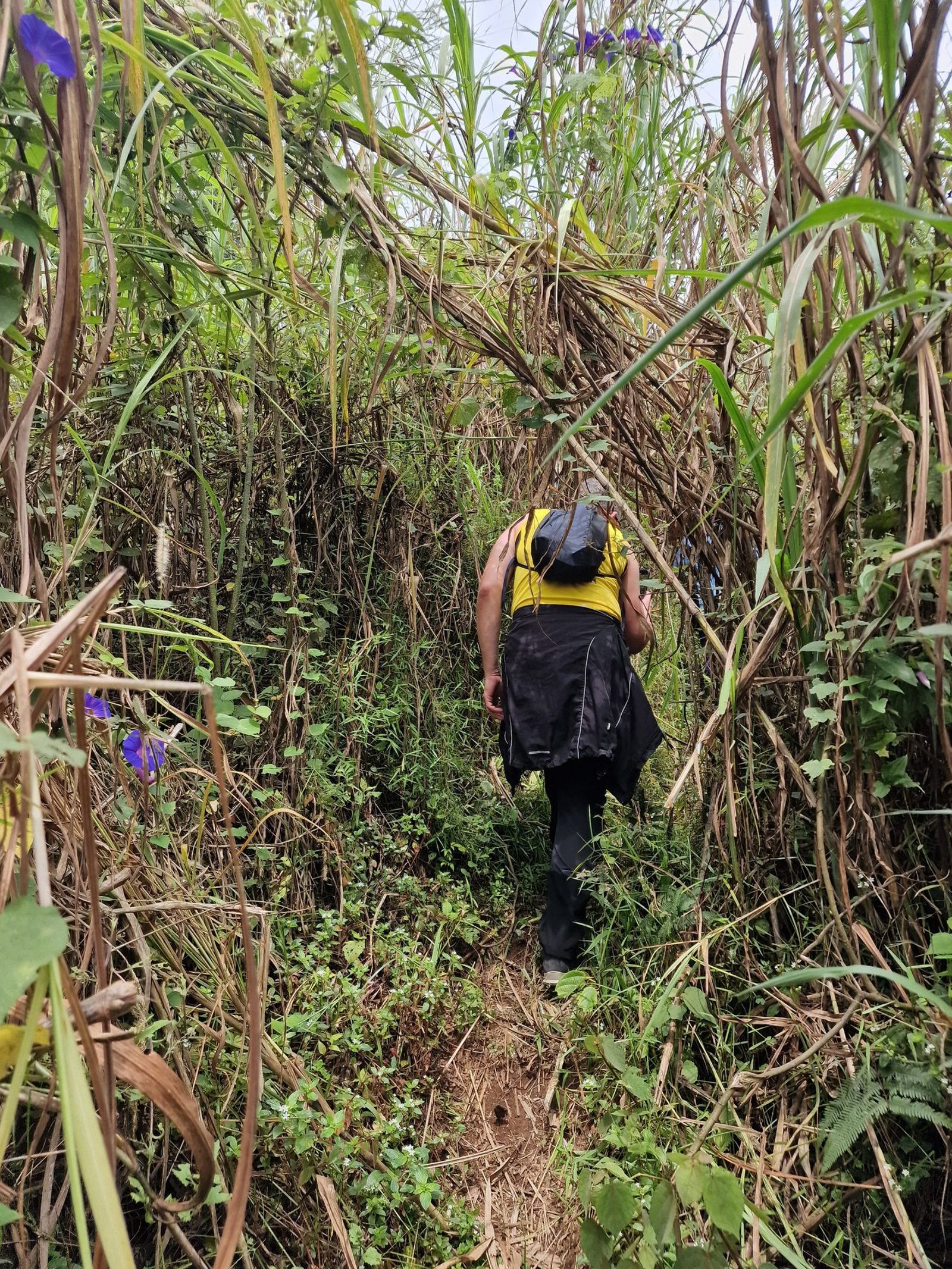 Bioko Island Journey, Equatorial Guinea