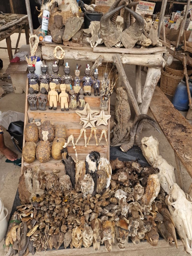 Akodessawa: what is actually for sale at Lomé's fetish market