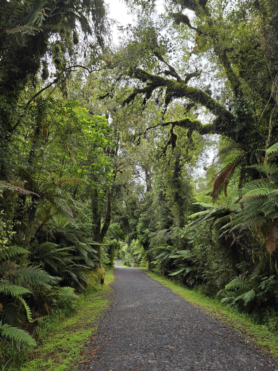 The South Island drive route that doesn't backtrack