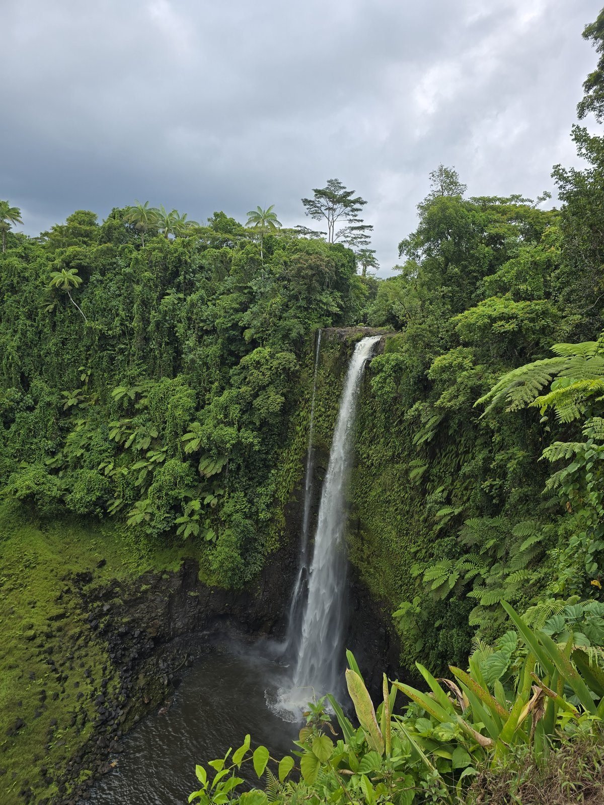 A tall waterfall dropping into a green pool
