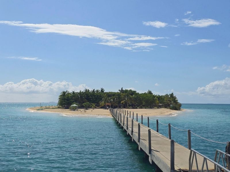 Self-organizing the South Pacific (without a resort)