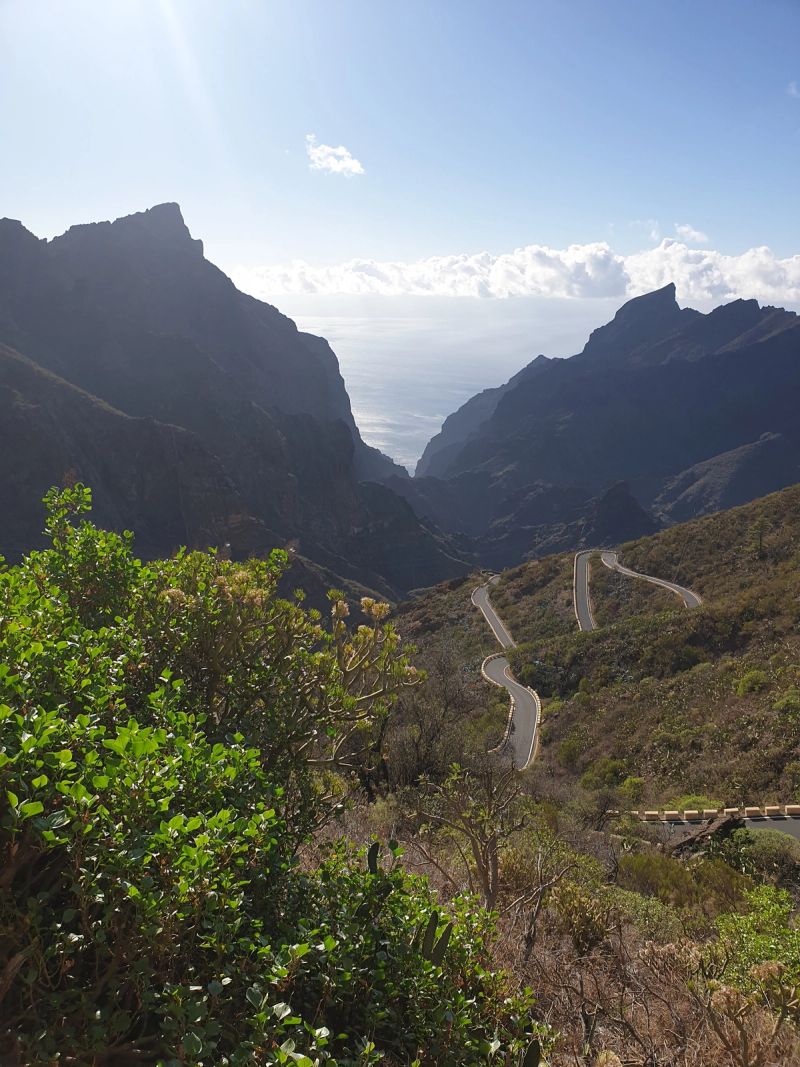 Tenerife vs Gran Canaria: which island?