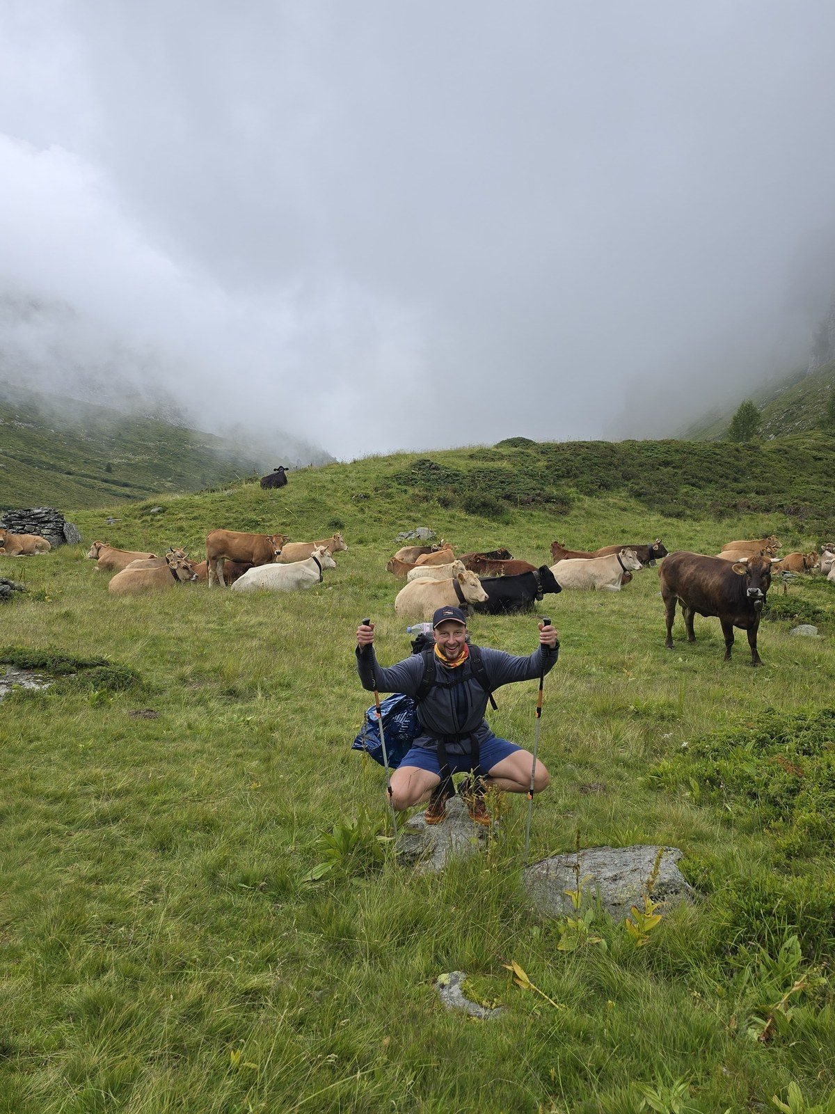 With the cattle at the misty tarn below the pass