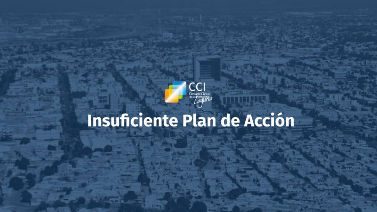 Insuficiente Plan de Acción