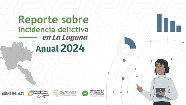 Reporte Anual de Incidencia Delictiva MIDLAG 2024