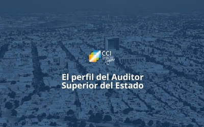 El perfil del Auditor Superior del Estado