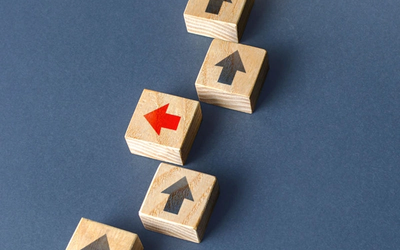 La importancia de los Órganos Autónomos