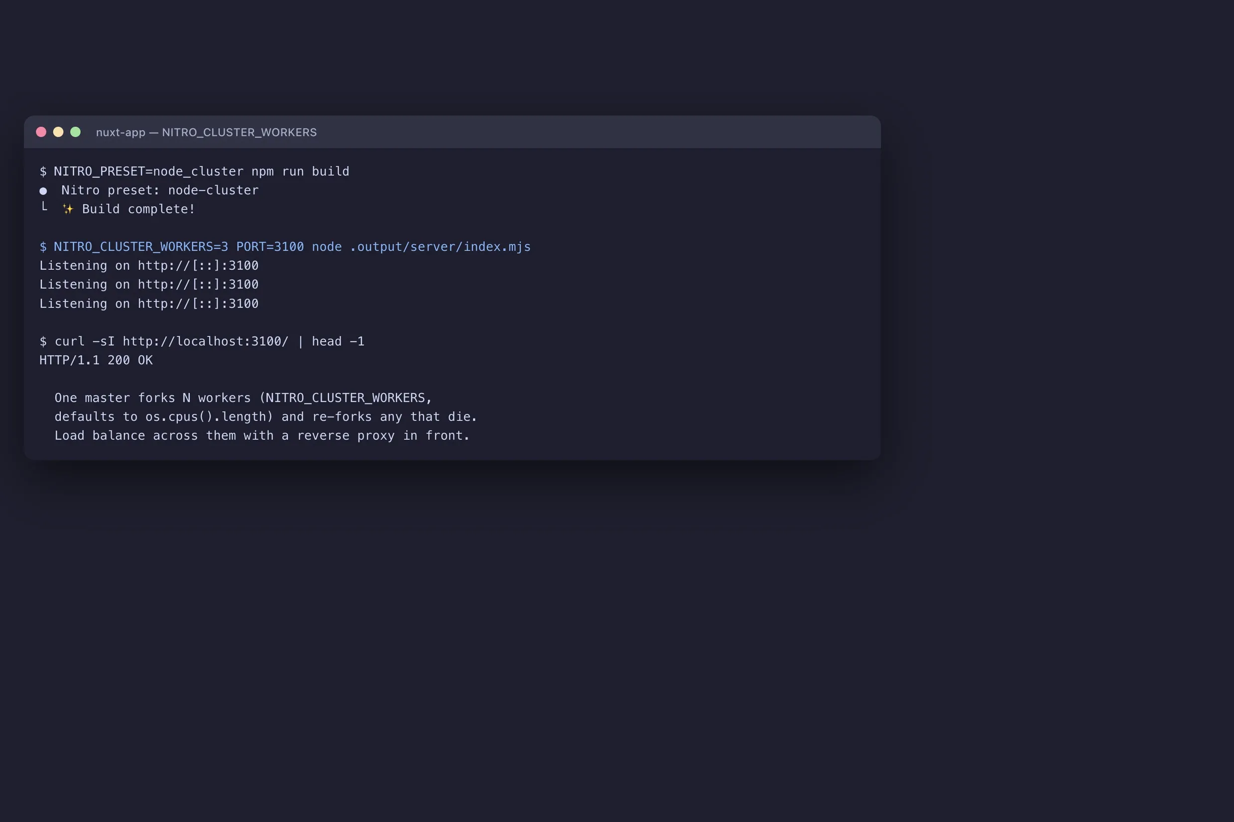 Terminal showing the Nitro cluster preset forking three worker processes