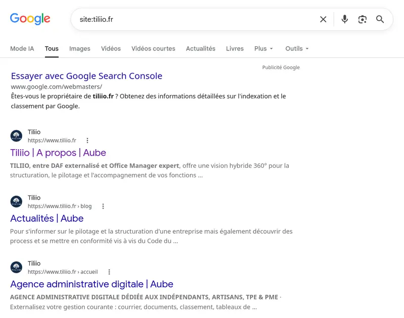 Résultats de la commande site:tiliio.fr sur Google : plusieurs pages du site apparaissent, chacune avec son propre titre