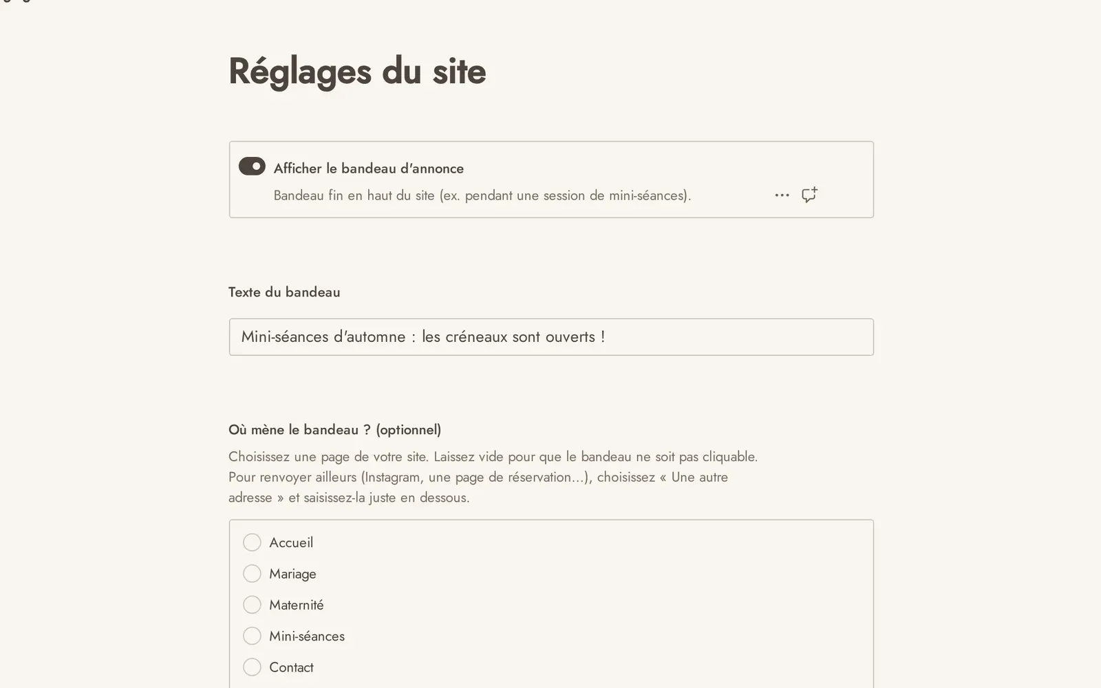 L'espace d'administration de Noella : les réglages du site, avec l'interrupteur du bandeau d'annonce et son texte