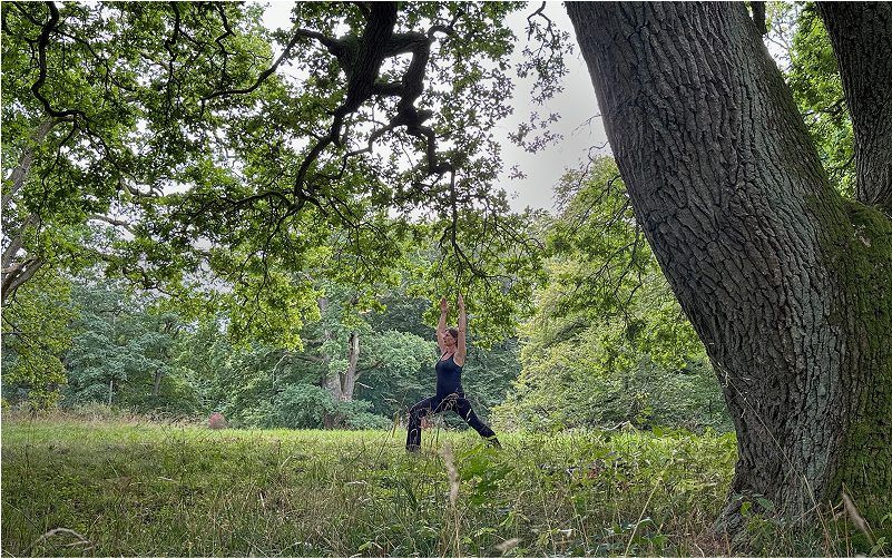 dame øver yoga under et træ