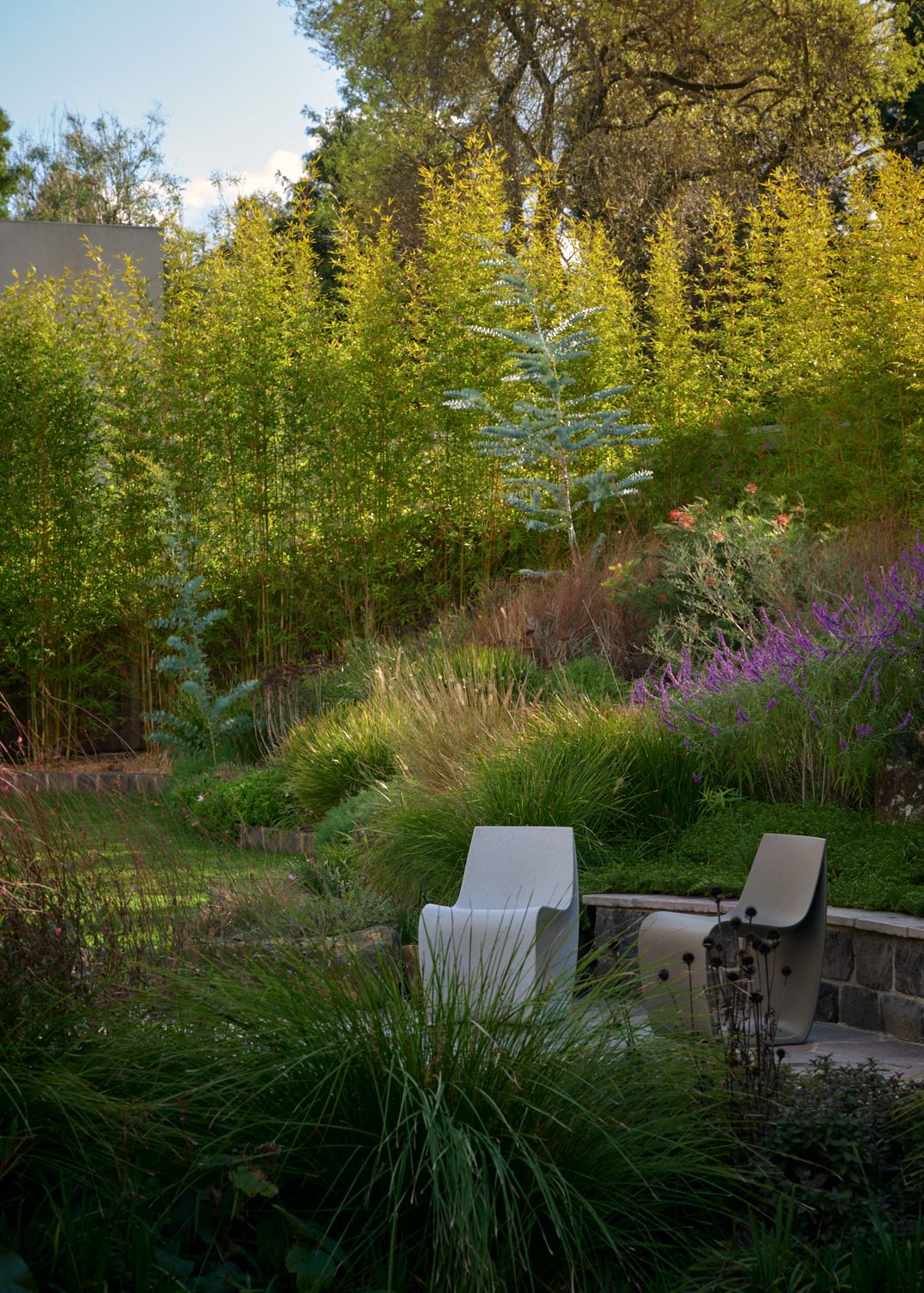 The garden of Wildwood, compromising of Australian native plants. | Wildwood by Robin Boyd | Vermont, Victoria | Noble family | Architectural Photography by Veeral Patel