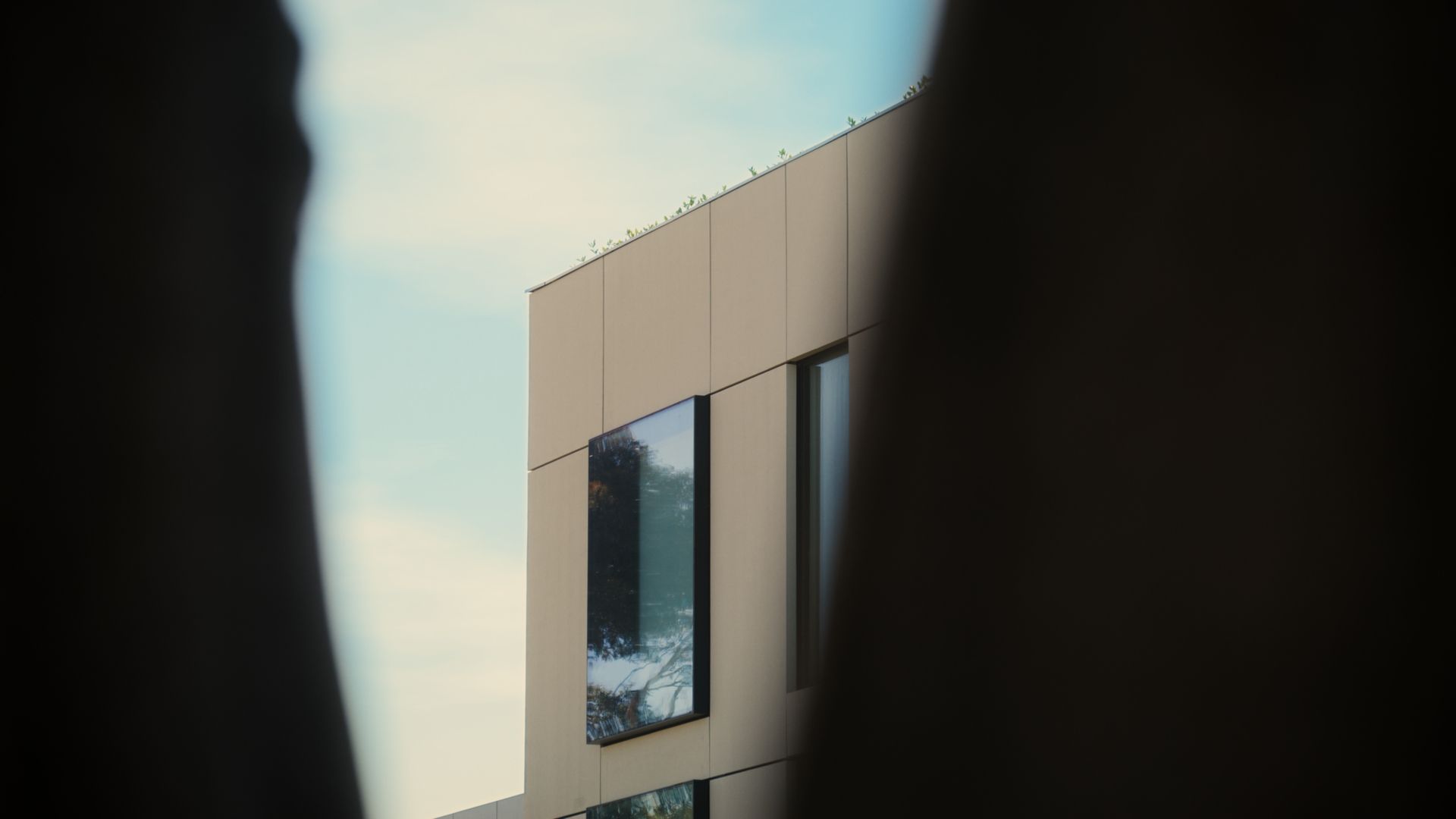 An exterior edge of The International, Brighton looking through a tree.  | The International, Brighton developed by Landream & V-Leader | Architecture by Carr | Architectural Film by Veeral Patel