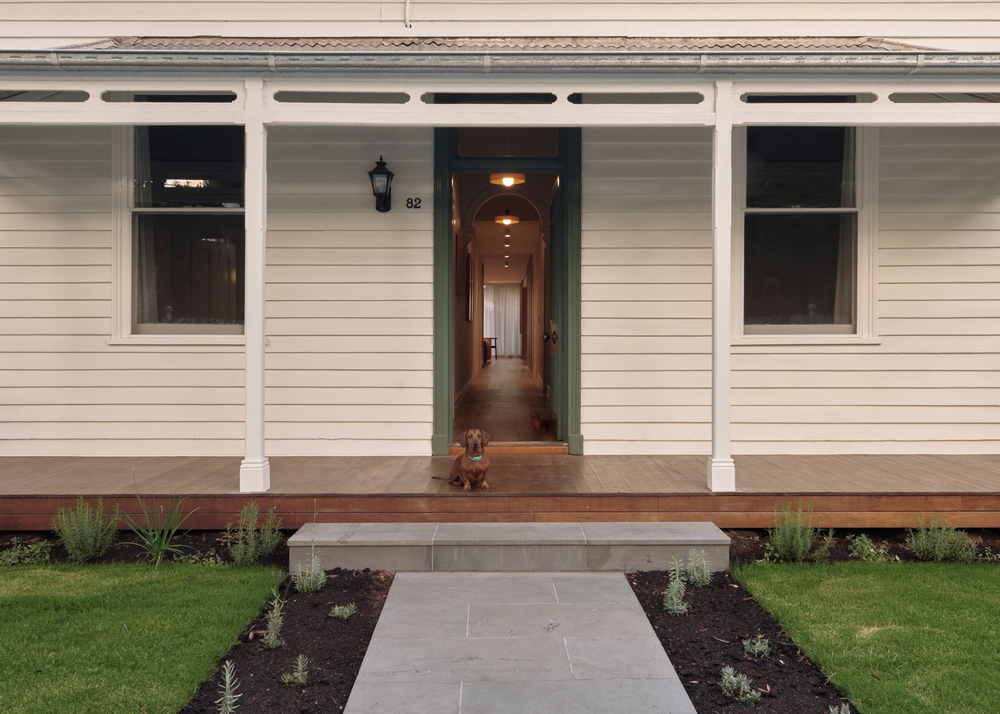 Victorian front of Peavey Residence II with a little Dachshund at the front door.   | Peavey Residence II by FYC Architects and Snakes & Ladders Projects | Prahran | Veeral Patel