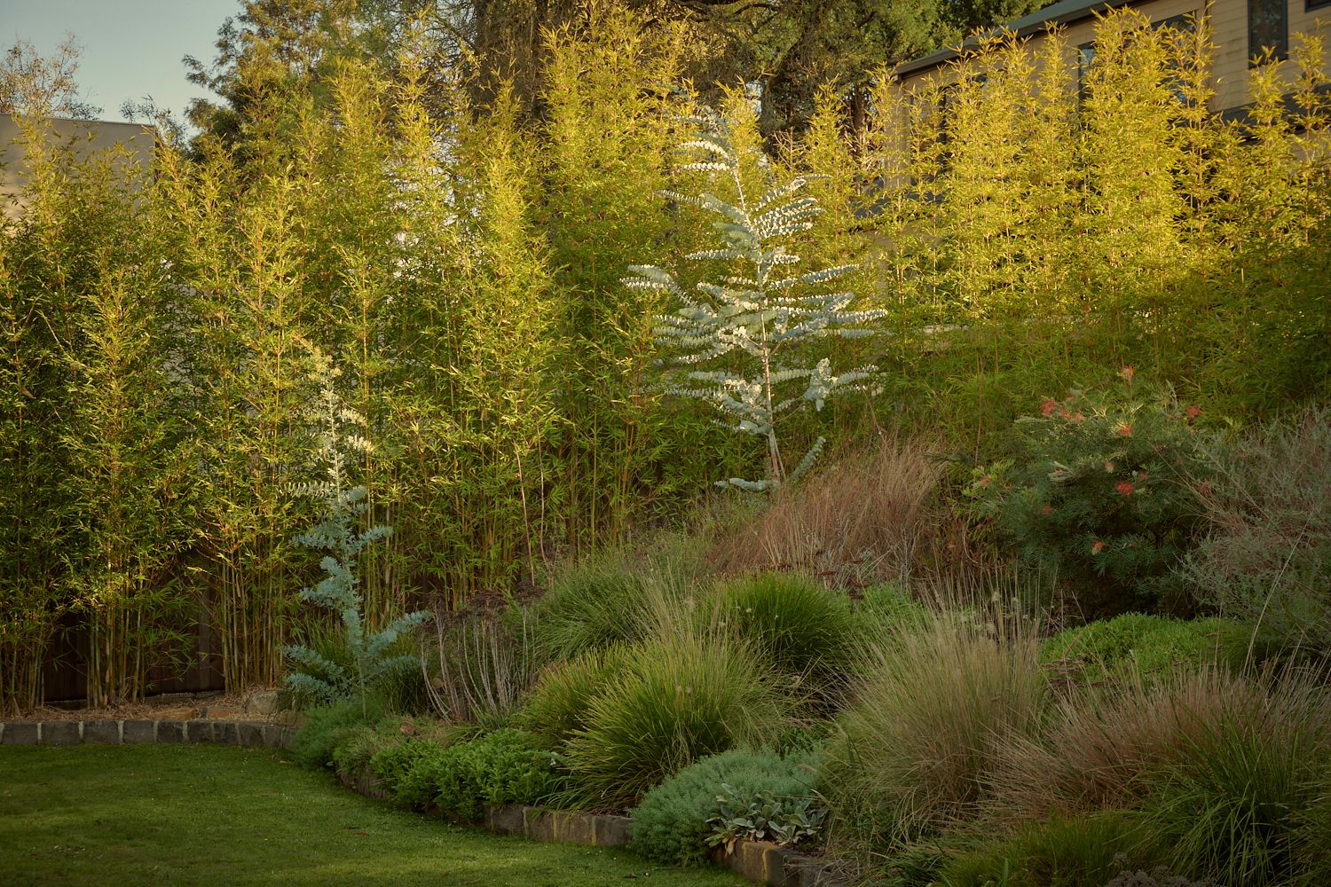 The garden of Wildwood, compromising of Australian native plants. | Wildwood by Robin Boyd | Vermont, Victoria | Noble family | Architectural Photography by Veeral Patel
