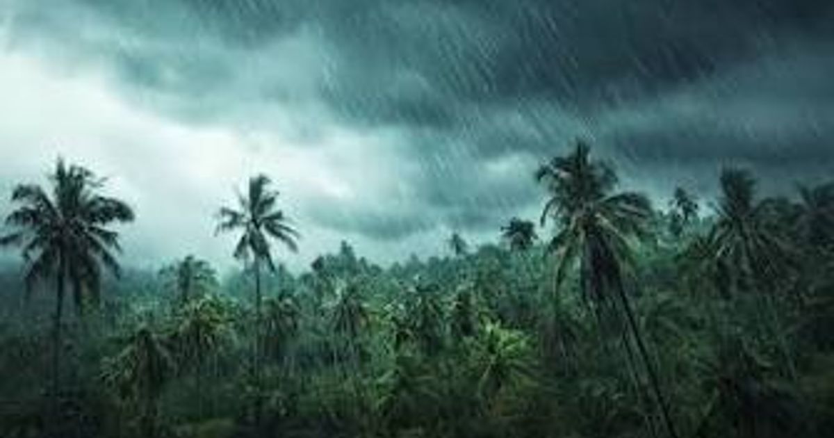 കണ്ണൂർ ഉൾപ്പെടെ 3 ജില്ലകളിൽ റെഡ് അലർട്ട്