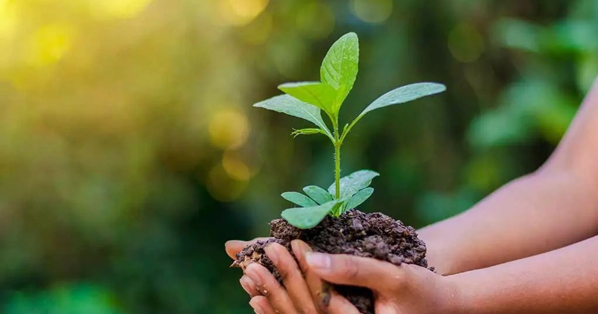 ലോക പരിസ്ഥിതി ദിനം 2026: പ്രകൃതിയെ സംരക്ഷിക്കൂ, ഭാവിയെ സുരക്ഷിതമാക്കൂ
