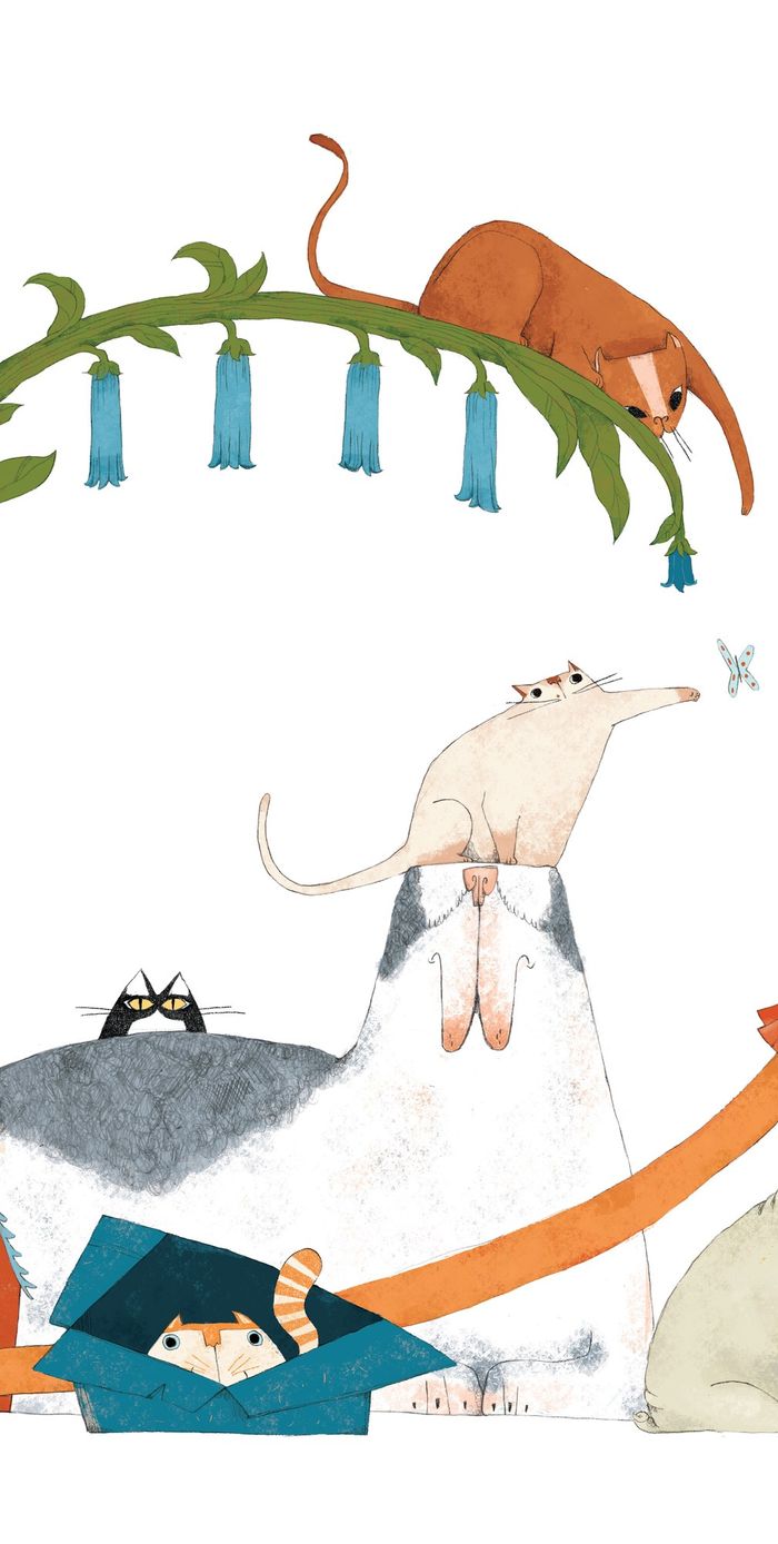 Tovaglia Cani & Gatti
