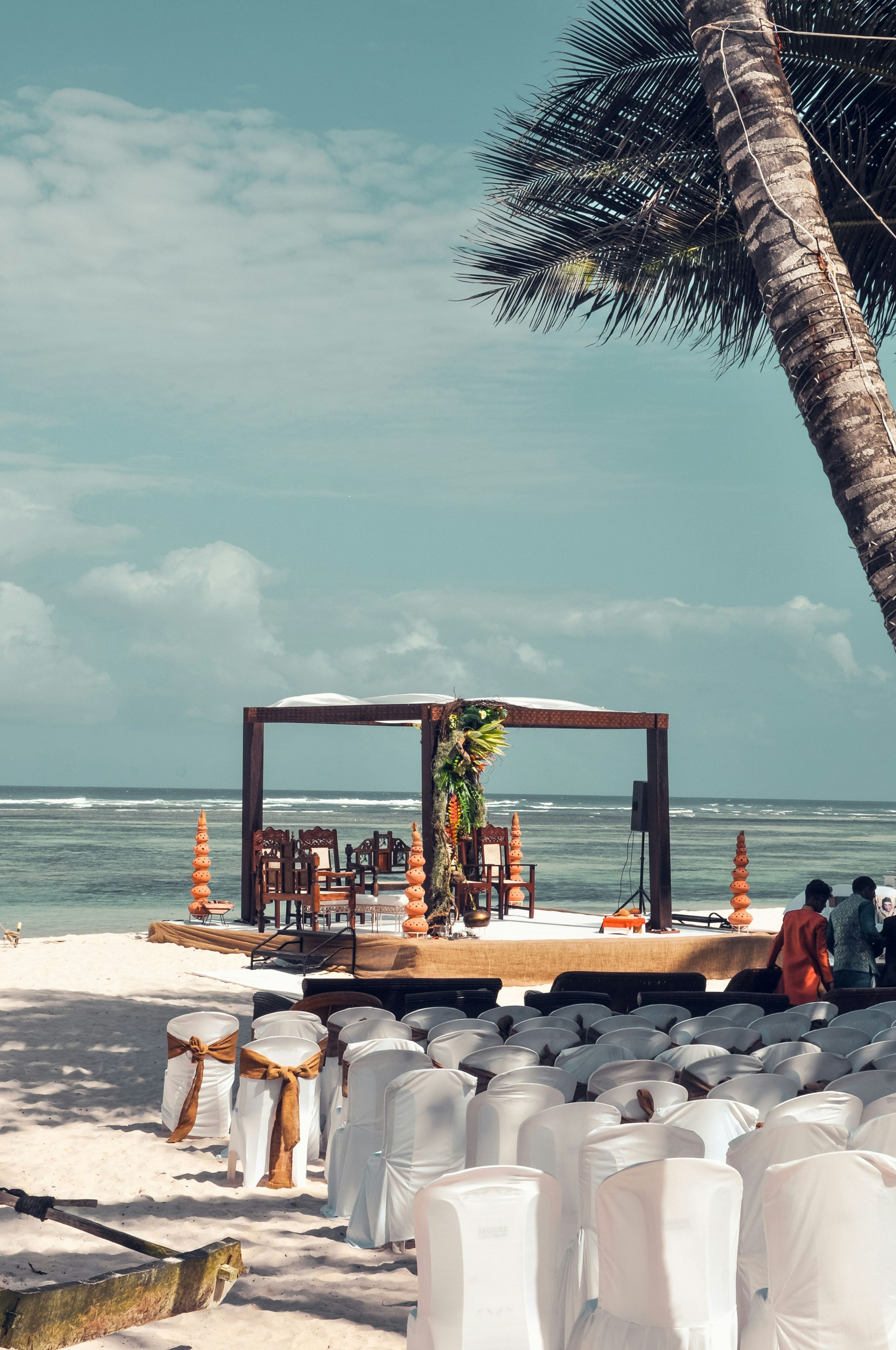 Beachfront wedding ceremony under palm trees