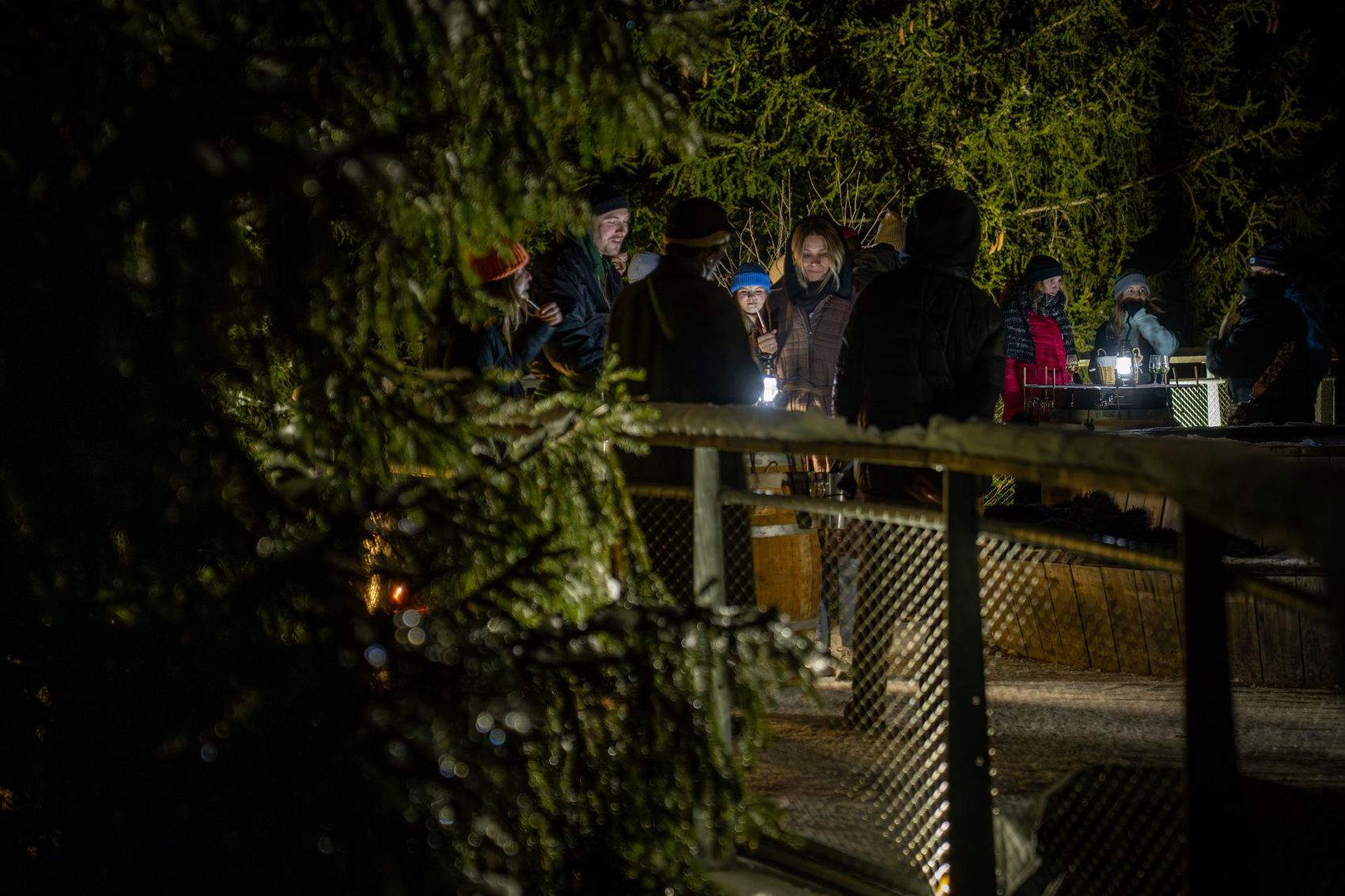 Apéritif fondue au fromage sur le sentier dans les cimes des arbres - image 2