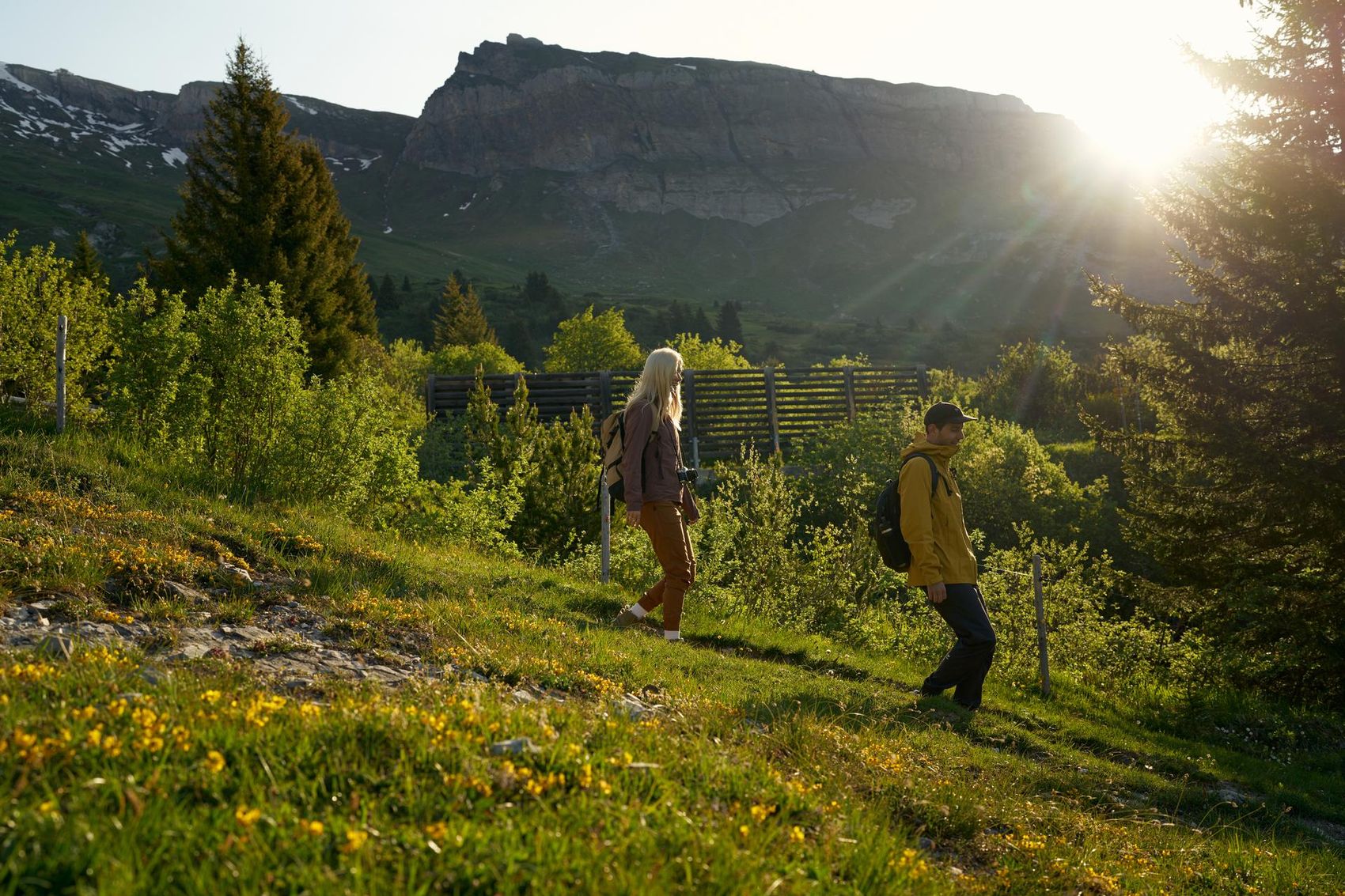 大自然在呼唤 - image 1