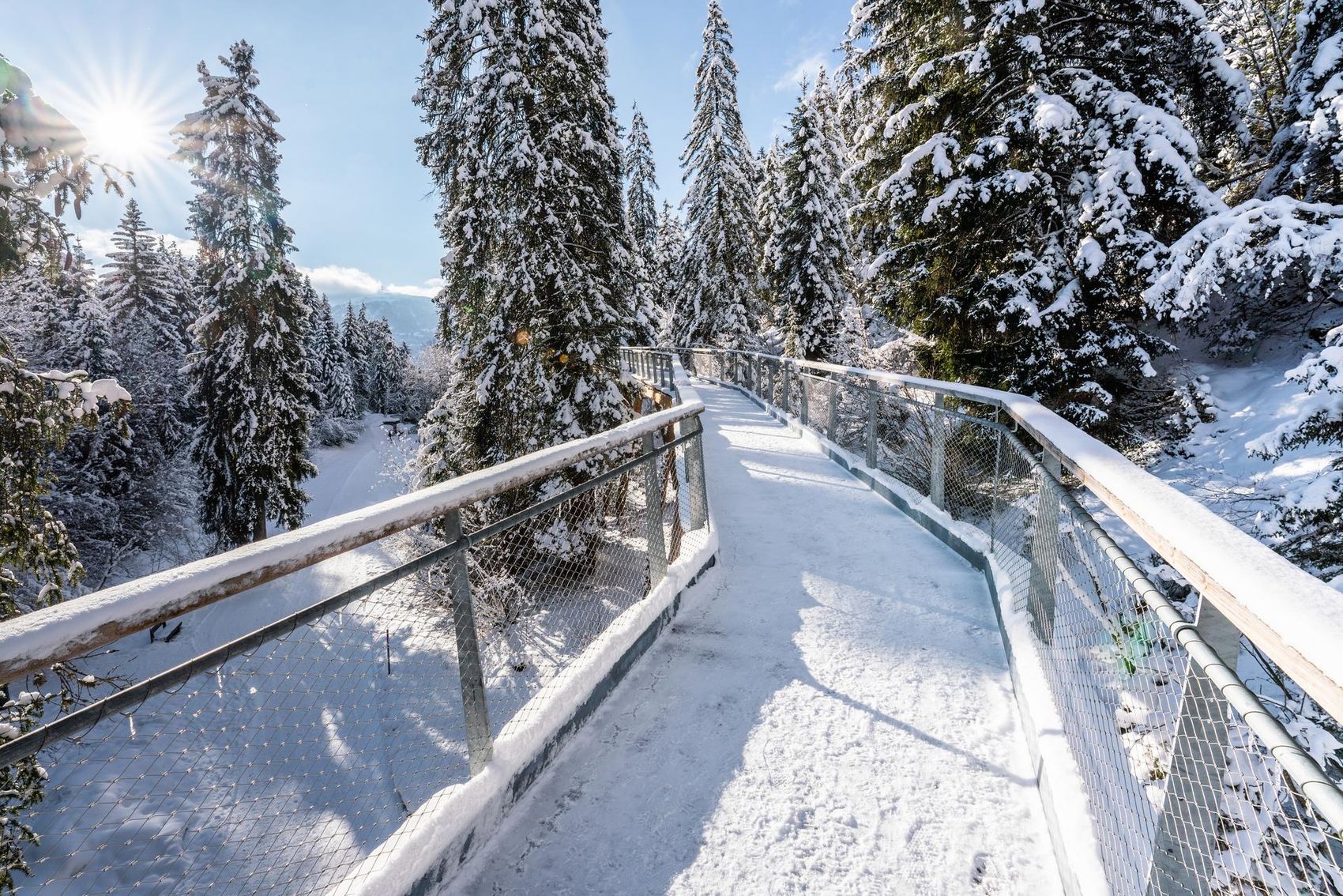 Le sentier dans la cime des arbres enneigé