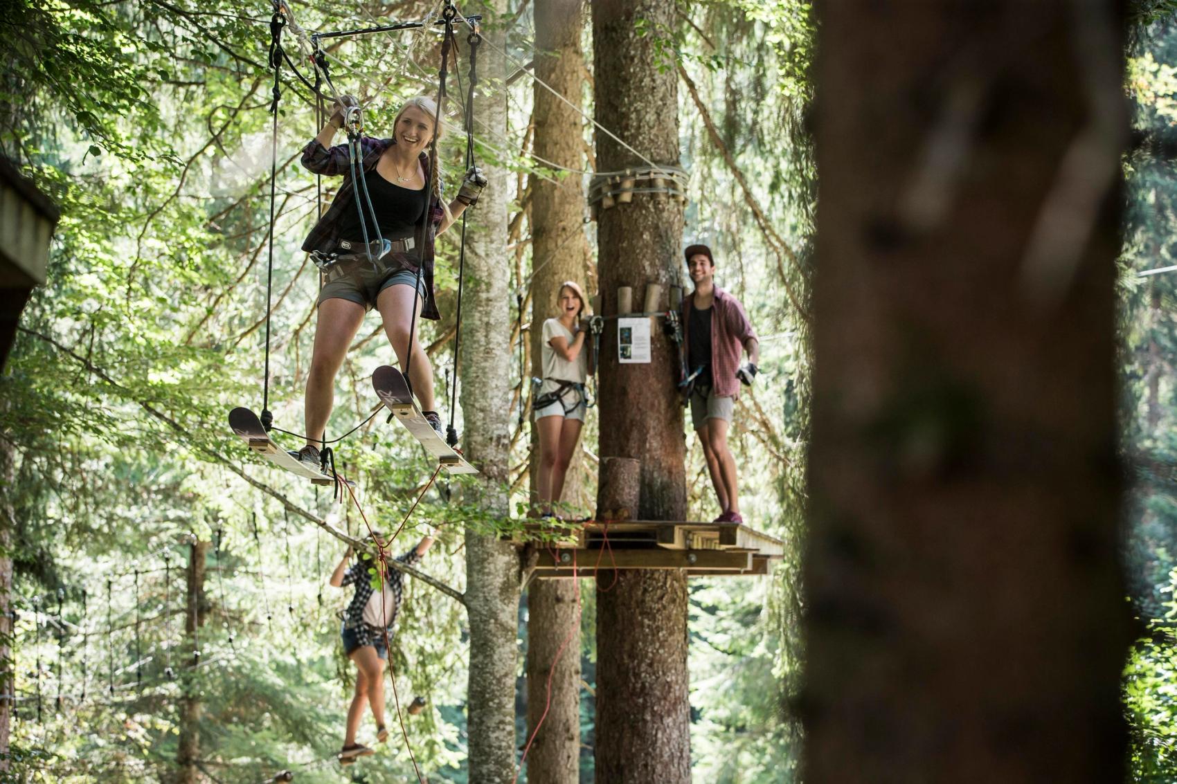 Hochseilpark - image 1