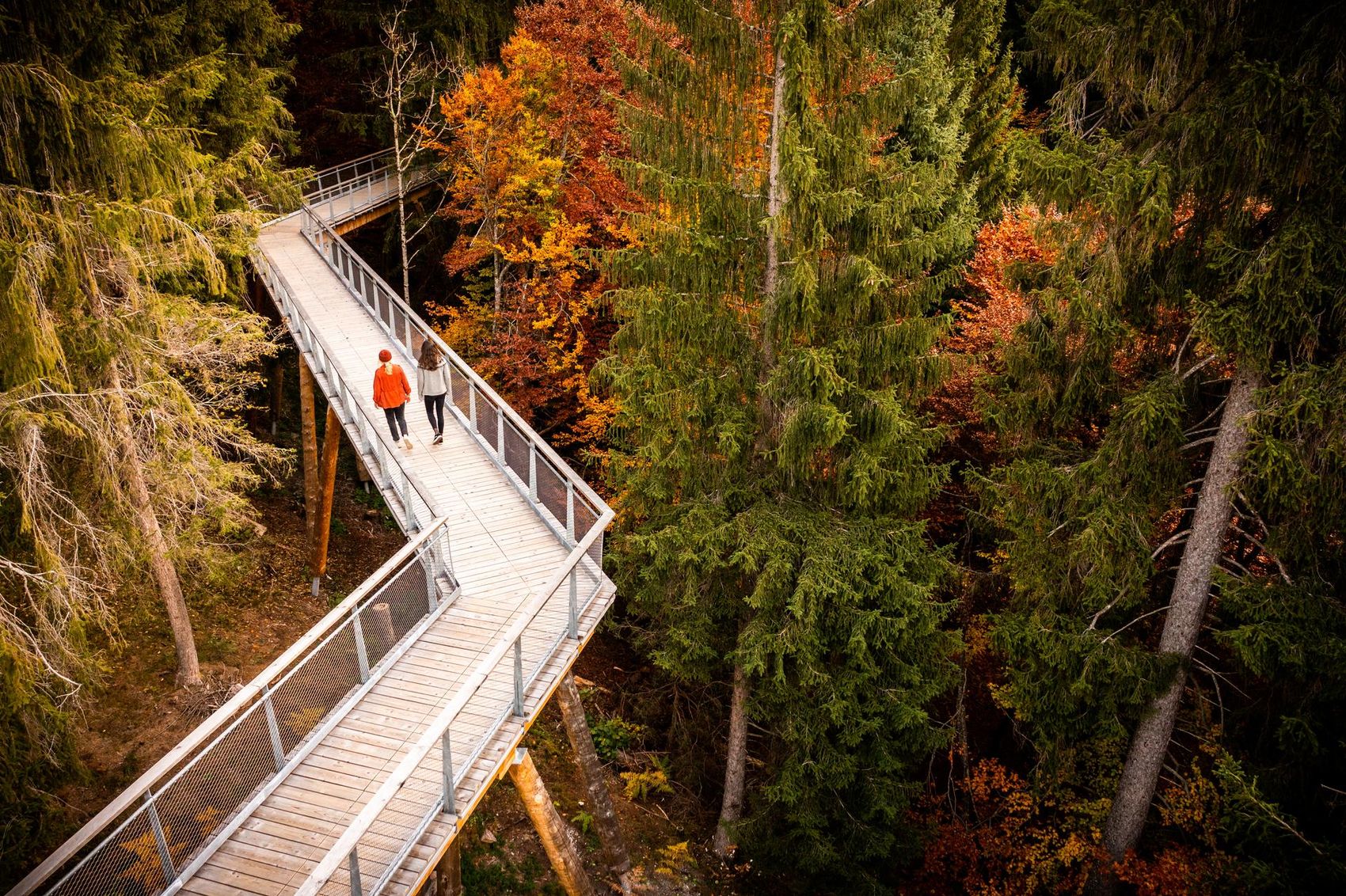 Paar läuft über verschneiter Baumwipfelpfad