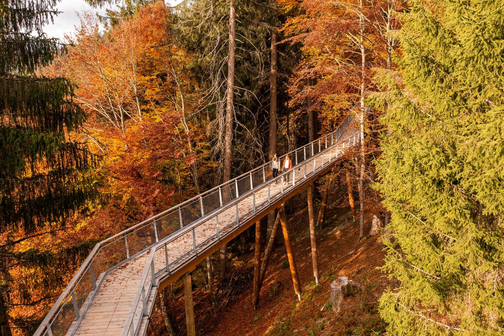 MICE Herbst-Special 2025 - image 3