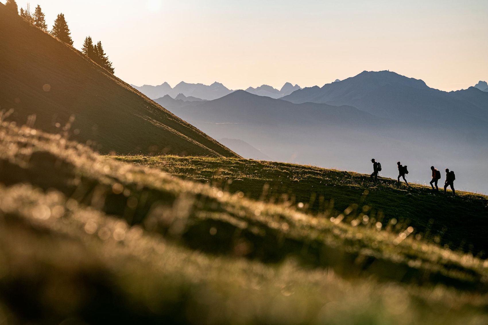 Group of hikers walking across meadow