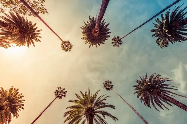 Los Angeles