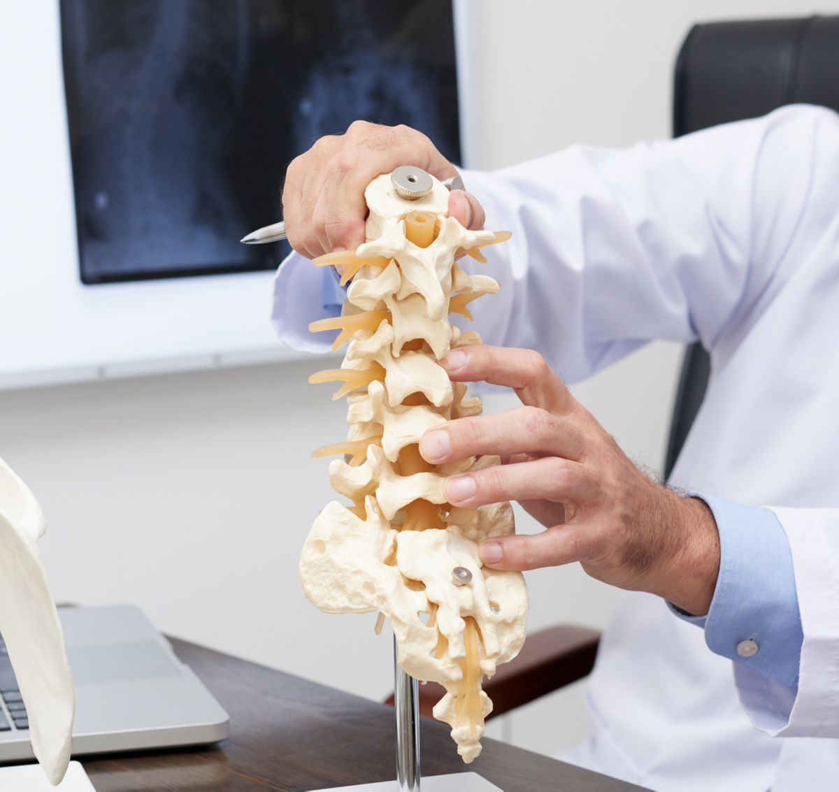 Spine Evaluation