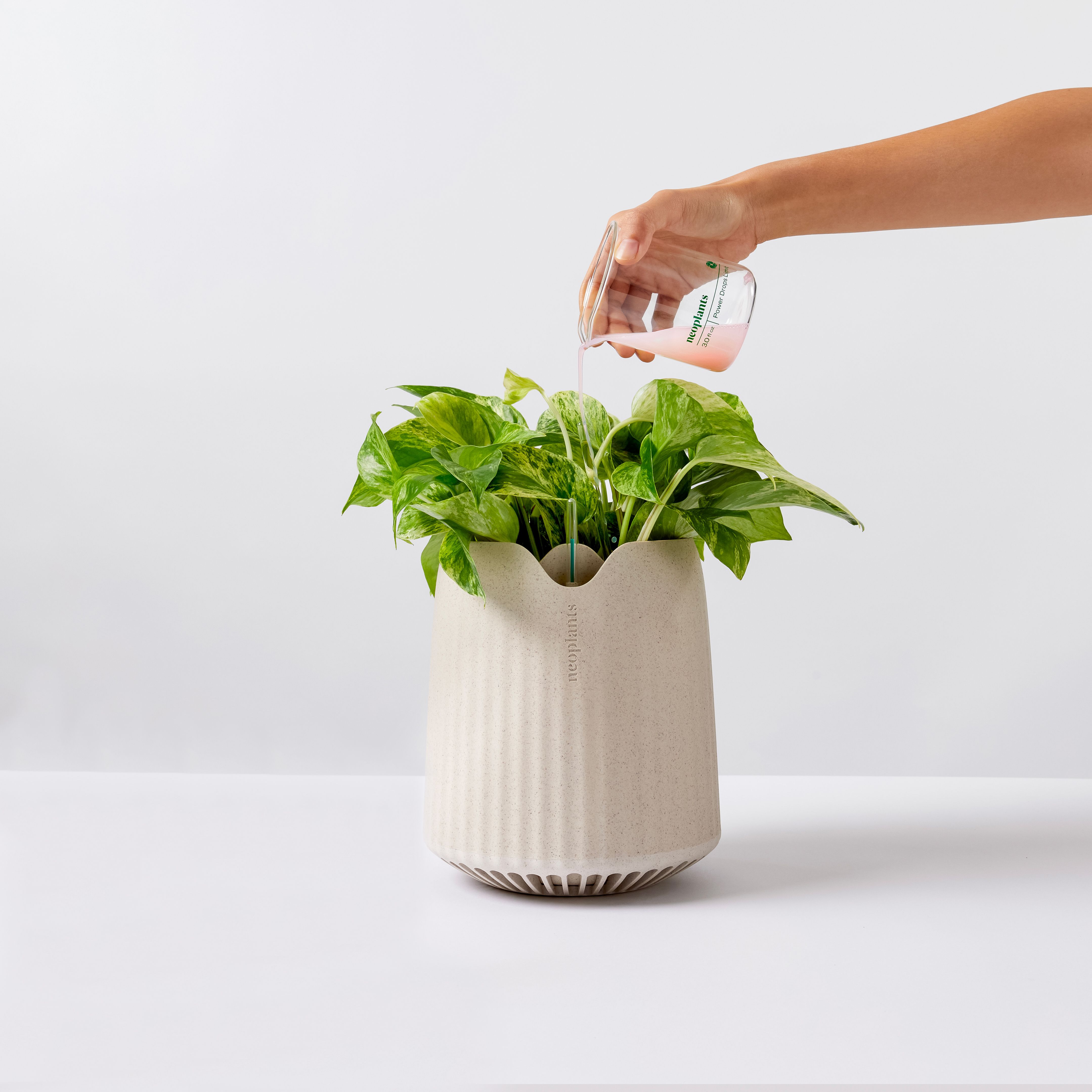 Neo PX - Complete Plant Air Purifying Kit | Neoplants | Neoplants