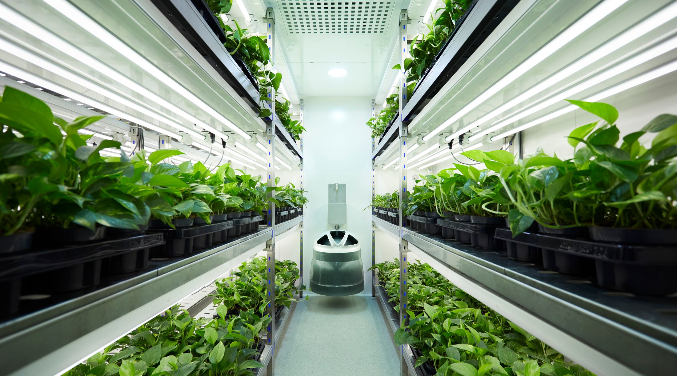 Neoplants - Neoplants Unveils New Lab for Unparalleled Plant Synthetic ...