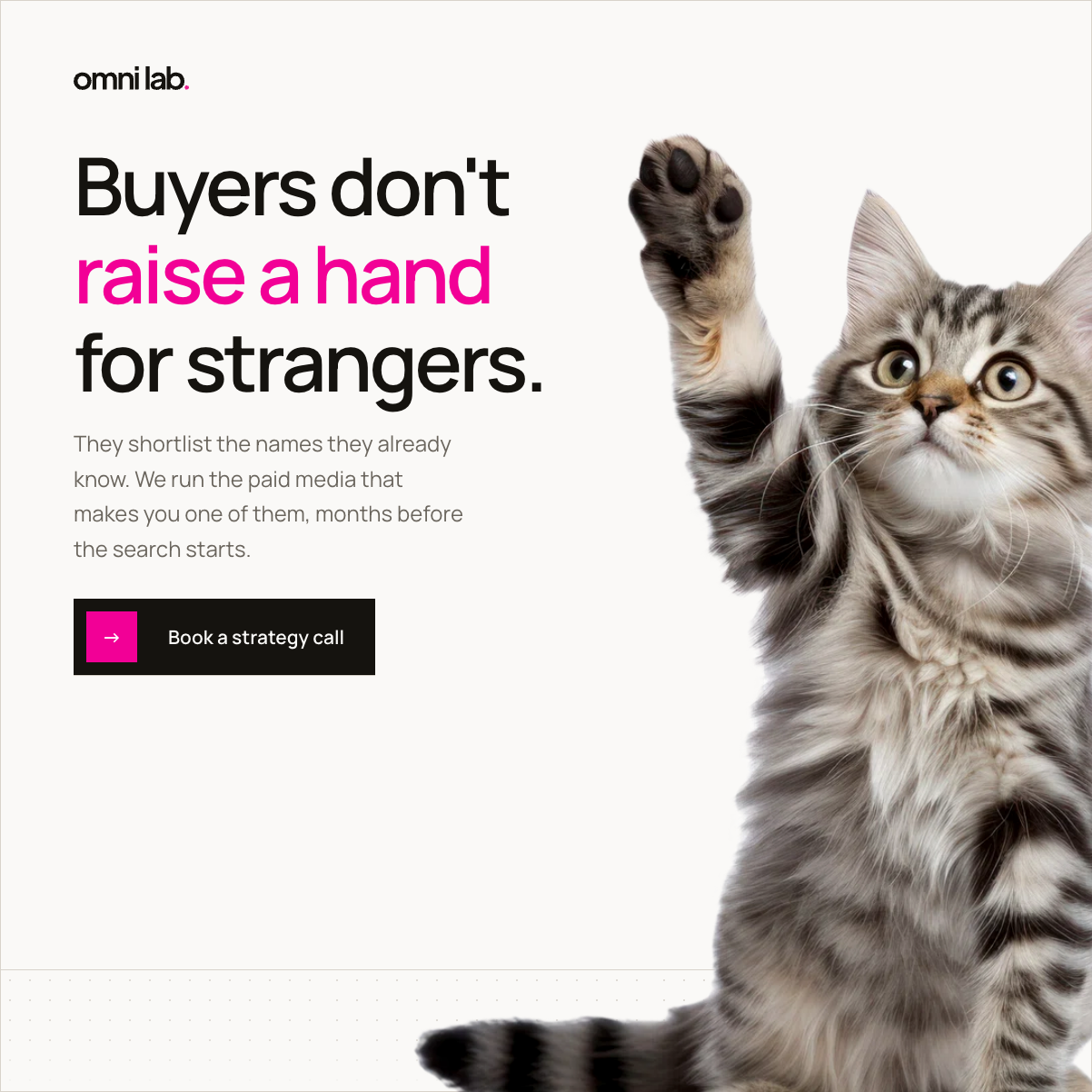 Omni ad - B2B - Cat