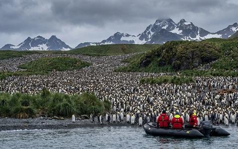 South Georgia — Shackleton's Island