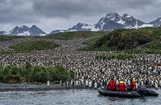 South Georgia — Shackleton's Island
