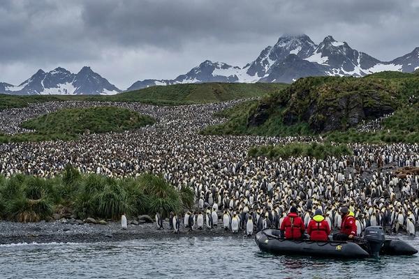 South Georgia — Shackleton's Island