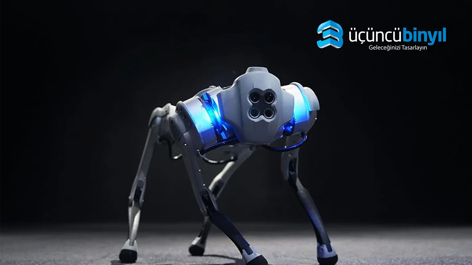 Yapay Zeka Tabanlı Robot Köpek Programlama Kursu: Python ve C++ ile Geleceğin Teknolojilerini Öğrenin