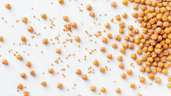 arabic-version-of-chickpeas