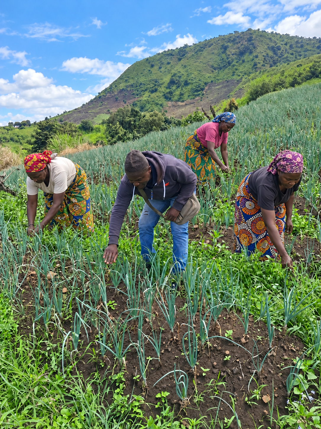 Rice farmers working in a field in Cameroon