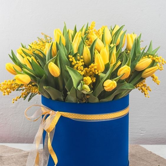 Amelie (yellow Tulips in box)