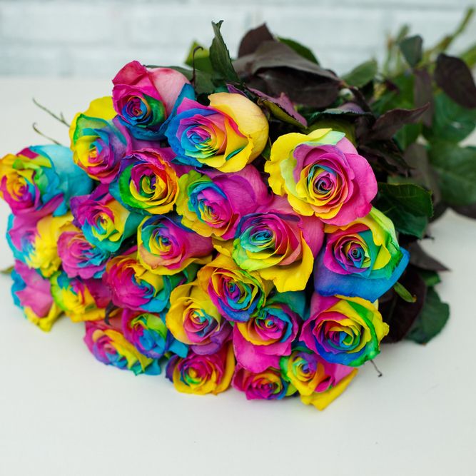 25 colored Roses